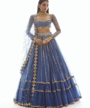 Blue sequins embroidery Lehenga